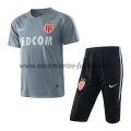 Camiseta de Entrenamiento Conjunto Completo AS Monaco 2017/2018 Gris