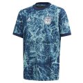 Camiseta de la Selección de Argentina pre match 2020 Azul