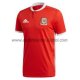 Camiseta de la Selección de Gales 1ª 2018