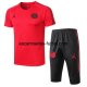 Camiseta de Entrenamiento Conjunto Completo Paris Saint Germain 2018/2019 JORDAN Rojo Negro