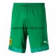 Camiseta Portero del Pantalones Borussia Dortmund Verde Equipación 2019/2020
