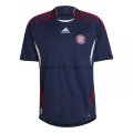Especial Camiseta Bayern Múnich 2021/2022