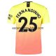 Camiseta del Fernandinho Manchester City 3ª Equipación 2019/2020