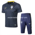 Camiseta de Entrenamiento Conjunto Completo Brasil 2018 Azul Gris
