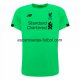Camiseta del Liverpool Portero Verde Equipación 2019/2020