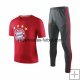 Camiseta de Entrenamiento Conjunto Completo Bayern Munich 2019/2020 Rojo Gris
