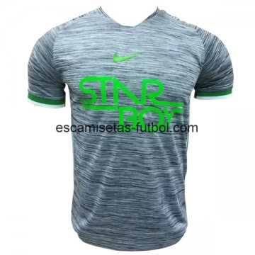 Camiseta de Entrenamiento Nigeria 2018 Gris