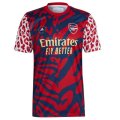 Tailandia Especial Camiseta Arsenal 2022/2023