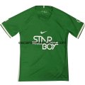 Camiseta de Entrenamiento Nigeria 2018 Verde Claro
