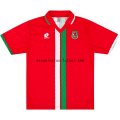 Camiseta del 1ª Gales Retro 1996/1998