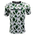 Camiseta de Entrenamiento Nigeria 2020 Verde Blanco