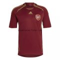 Especial Camiseta Arsenal 2021/2022