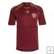 Especial Camiseta Arsenal 2021/2022