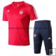 Camiseta de Entrenamiento Conjunto Completo Bayern Munich 2017/2018 Rojo Azul